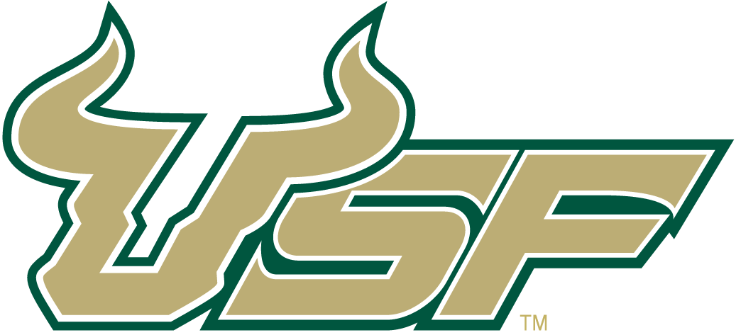 South Florida Bulls 2003-Pres Wordmark Logo v5 diy DTF decal sticker